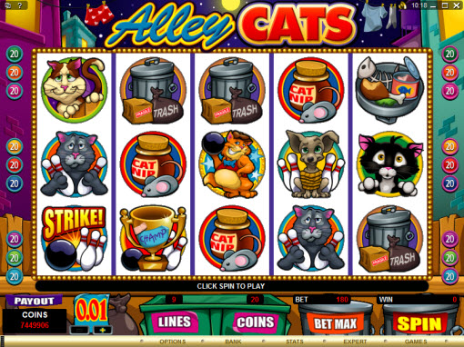 Alley Cats Video Slot Preview