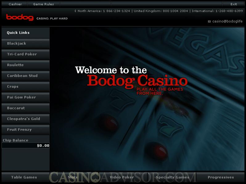 bodog casino